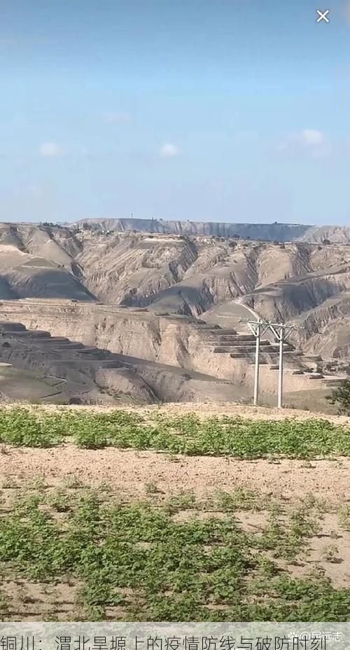 铜川：渭北旱塬上的疫情防线与破防时刻