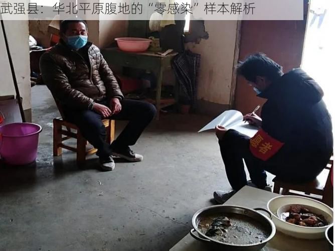 武强县：华北平原腹地的“零感染”样本解析