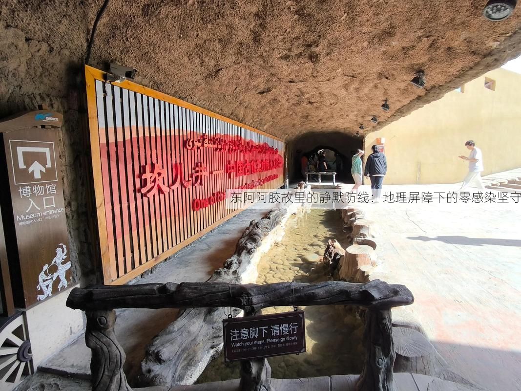 东阿阿胶故里的静默防线：地理屏障下的零感染坚守