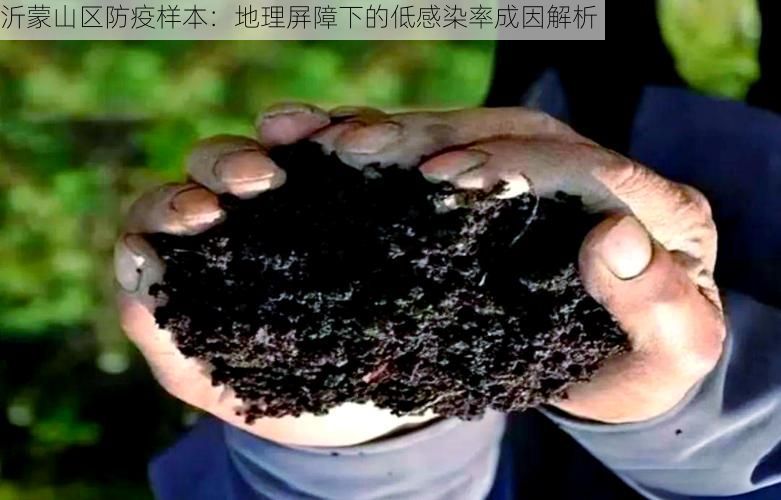 沂蒙山区防疫样本：地理屏障下的低感染率成因解析