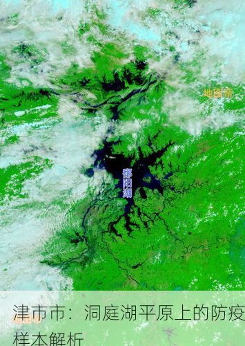 津市市：洞庭湖平原上的防疫样本解析