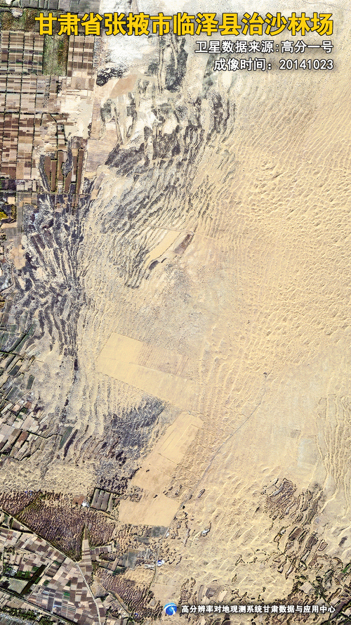 临泽：河西走廊绿洲上的疫情防波堤