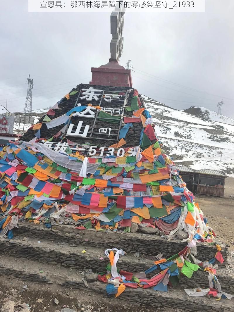 宣恩县：鄂西林海屏障下的零感染坚守_21933