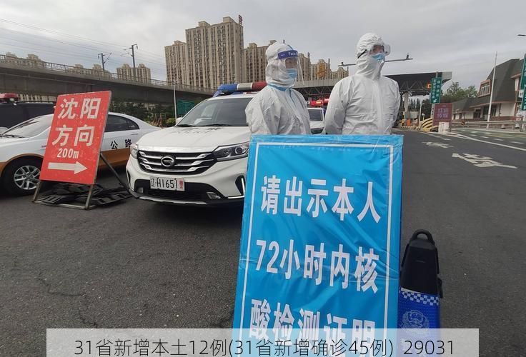 31省新增本土12例(31省新增确诊45例)_29031
