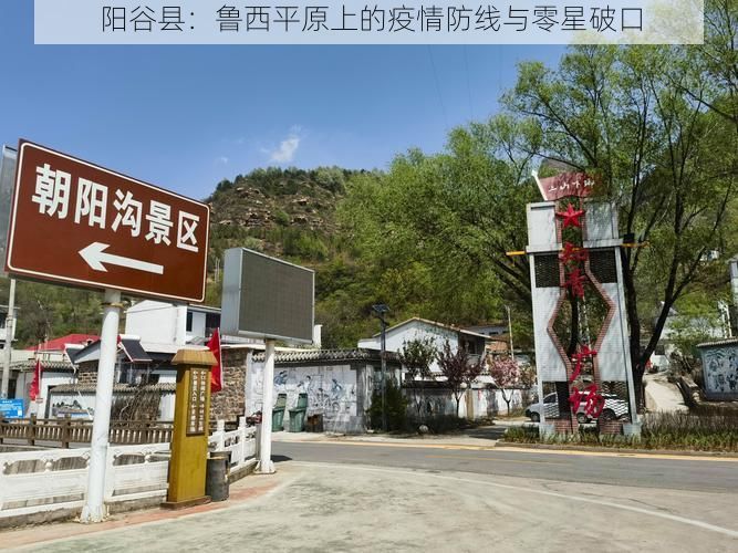 阳谷县：鲁西平原上的疫情防线与零星破口