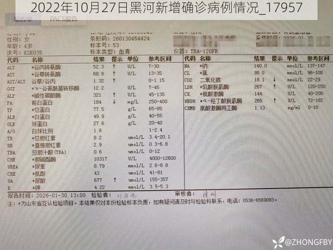 2022年10月27日黑河新增确诊病例情况_17957