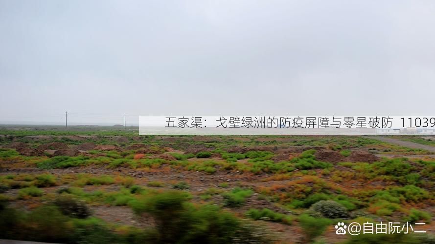 五家渠：戈壁绿洲的防疫屏障与零星破防_11039