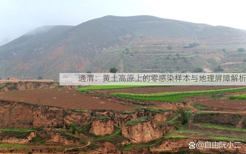 通渭：黄土高原上的零感染样本与地理屏障解析