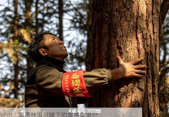 兴山：鄂西林海屏障下的零感染坚守