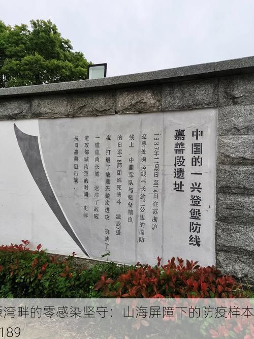 罗源湾畔的零感染坚守：山海屏障下的防疫样本_65189