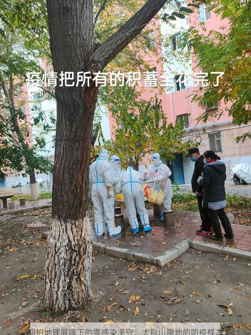 桐柏地理屏障下的零感染坚守：大别山腹地的防疫样本
