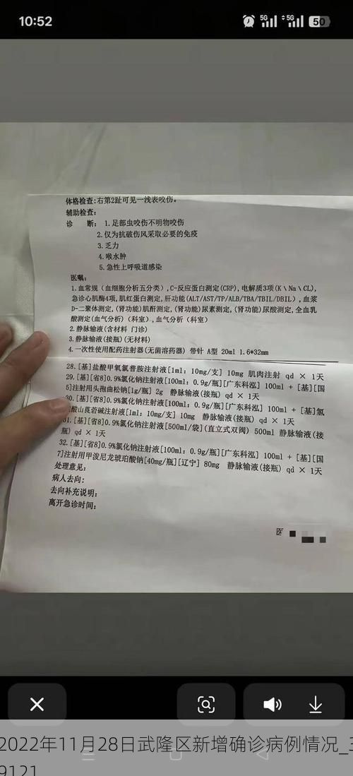 2022年11月28日武隆区新增确诊病例情况_39121