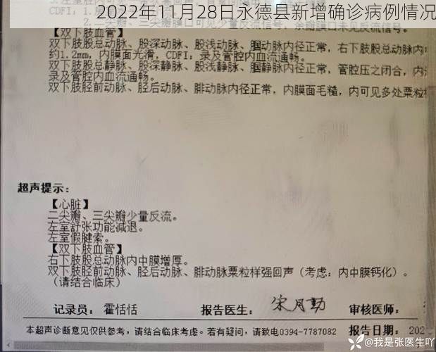 2022年11月28日永德县新增确诊病例情况