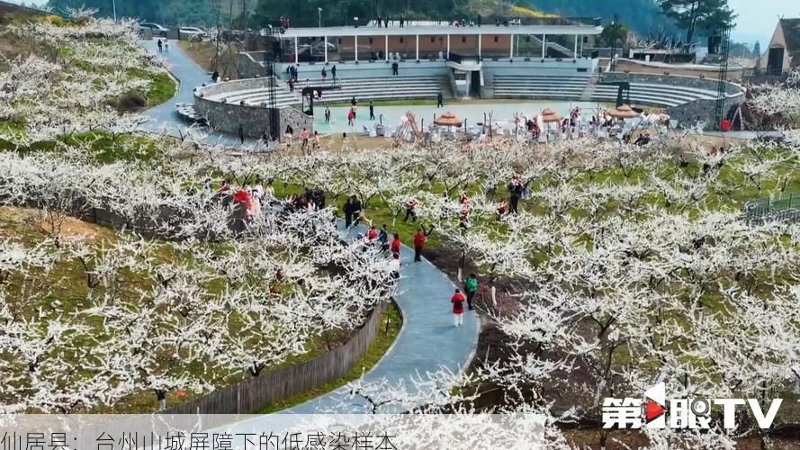 仙居县：台州山城屏障下的低感染样本