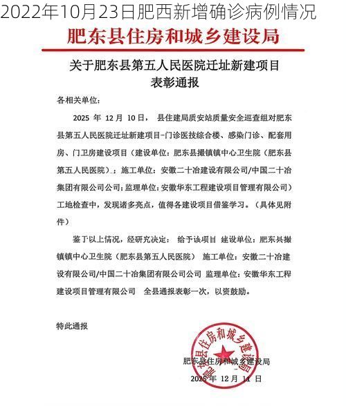 2022年10月23日肥西新增确诊病例情况