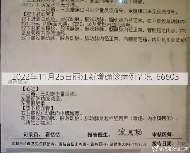 2022年11月25日丽江新增确诊病例情况_66603