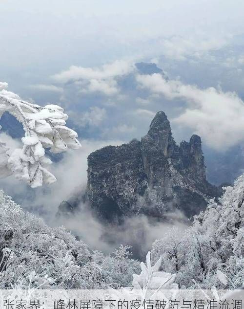 张家界：峰林屏障下的疫情破防与精准流调