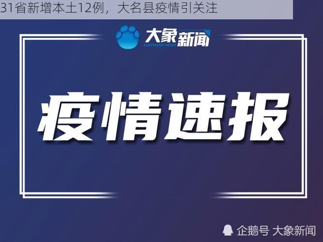 31省新增本土12例，大名县疫情引关注