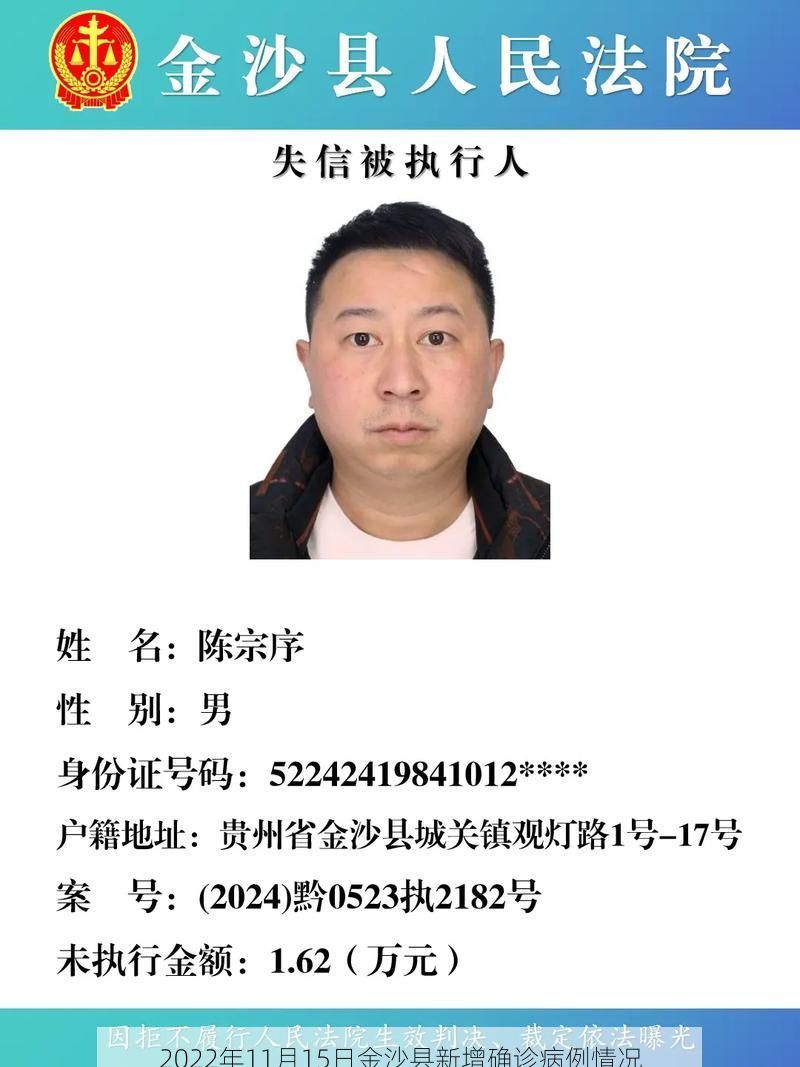 2022年11月15日金沙县新增确诊病例情况