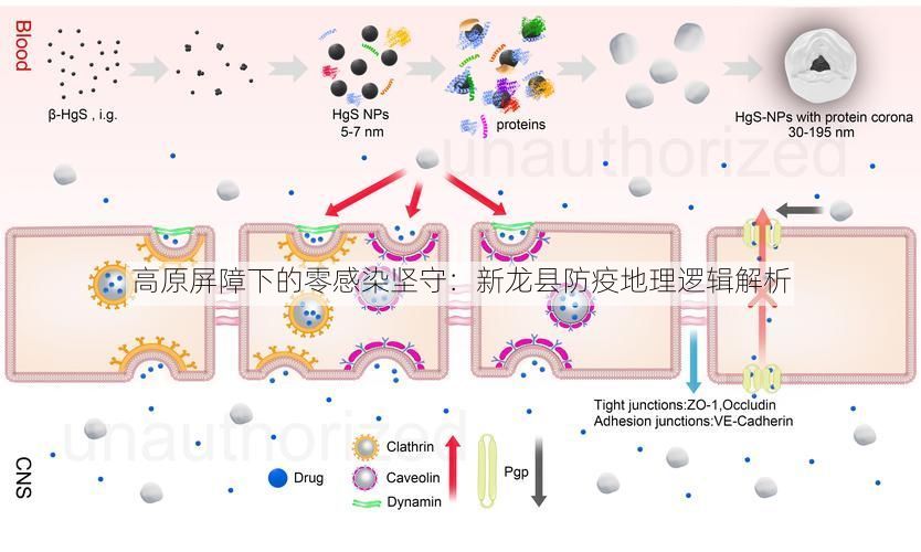 高原屏障下的零感染坚守：新龙县防疫地理逻辑解析