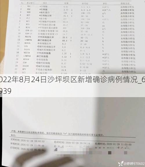 2022年8月24日沙坪坝区新增确诊病例情况_66939