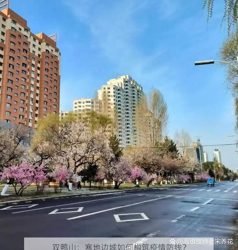 双鸭山:寒地边城如何构筑疫情防线?