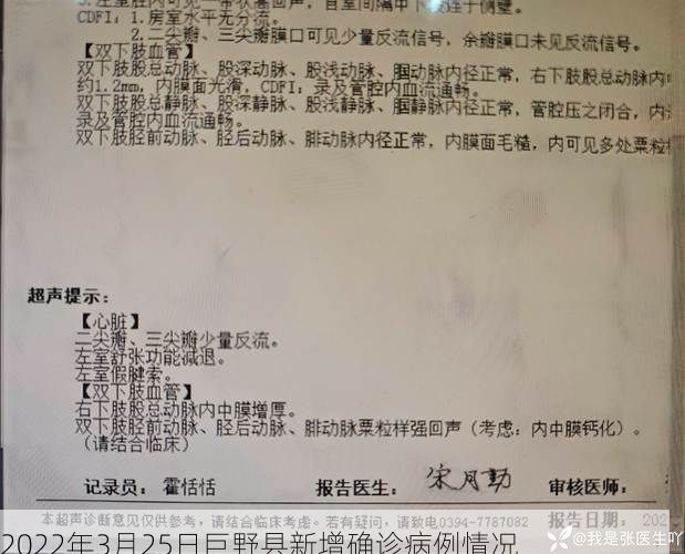 2022年3月25日巨野县新增确诊病例情况