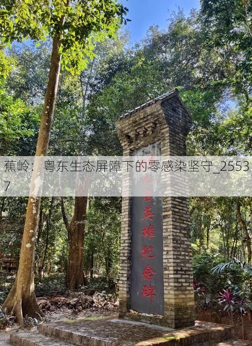 蕉岭：粤东生态屏障下的零感染坚守_25537