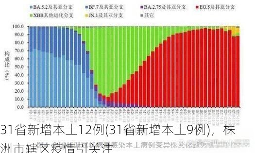 31省新增本土12例(31省新增本土9例)，株洲市辖区疫情引关注
