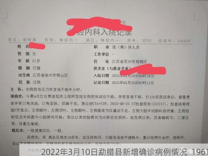 2022年3月10日勐腊县新增确诊病例情况_1961