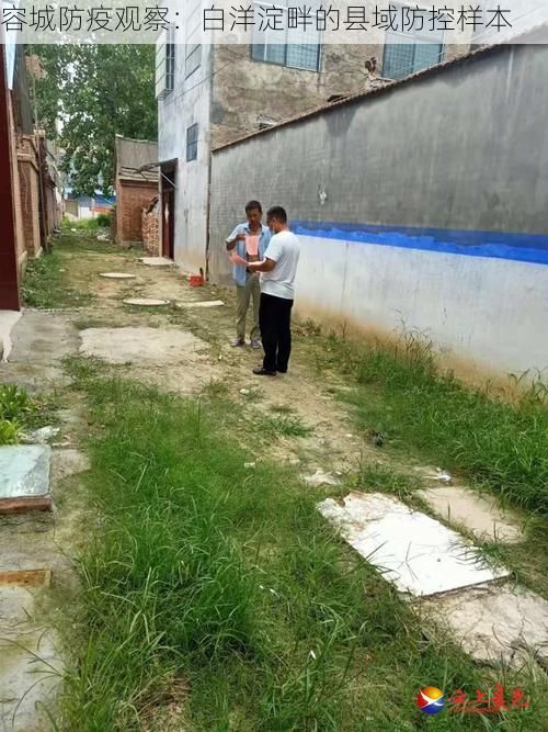 容城防疫观察：白洋淀畔的县域防控样本