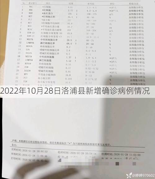 2022年10月28日洛浦县新增确诊病例情况