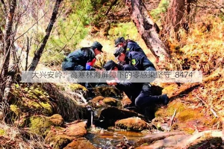 大兴安岭:高寒林海屏障下的零感染坚守_8474