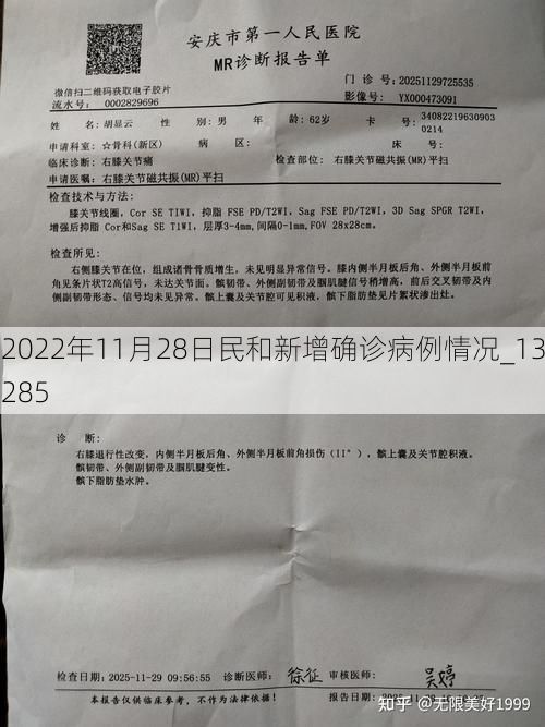 2022年11月28日民和新增确诊病例情况_13285