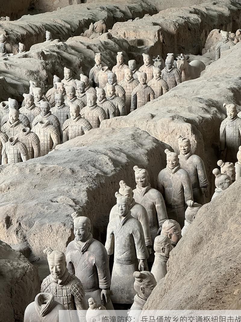 临潼防疫：兵马俑故乡的交通枢纽阻击战