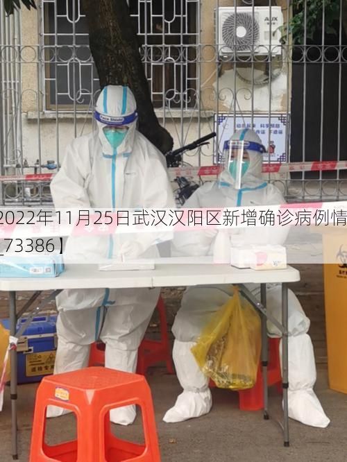 【2022年11月25日武汉汉阳区新增确诊病例情况_73386】