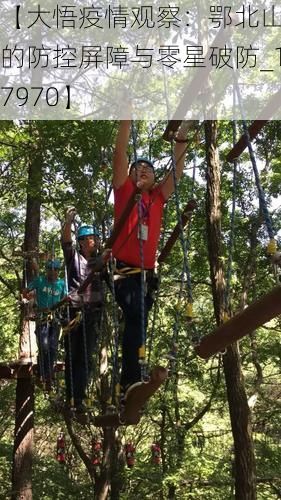 【大悟疫情观察:鄂北山区的防控屏障与零星破防_17970】