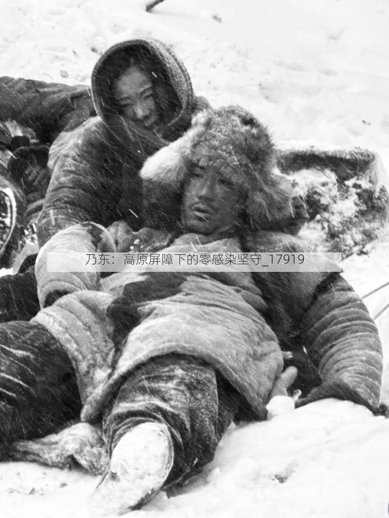 乃东：高原屏障下的零感染坚守_17919