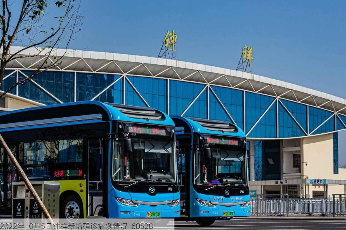 2022年10月5日钟祥新增确诊病例情况_60528