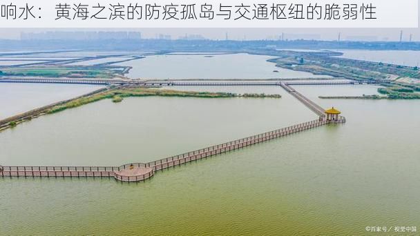 响水：黄海之滨的防疫孤岛与交通枢纽的脆弱性