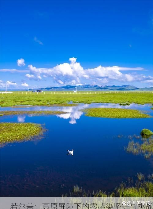 若尔盖：高原屏障下的零感染坚守与挑战