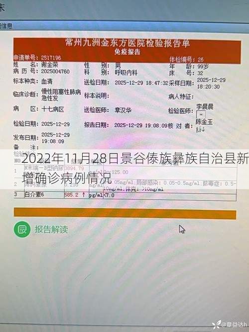 2022年11月28日景谷傣族彝族自治县新增确诊病例情况