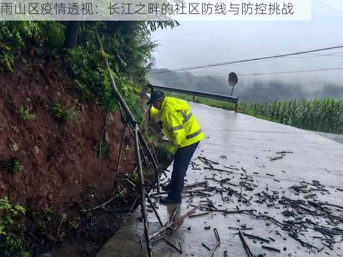 雨山区疫情透视:长江之畔的社区防线与防控挑战