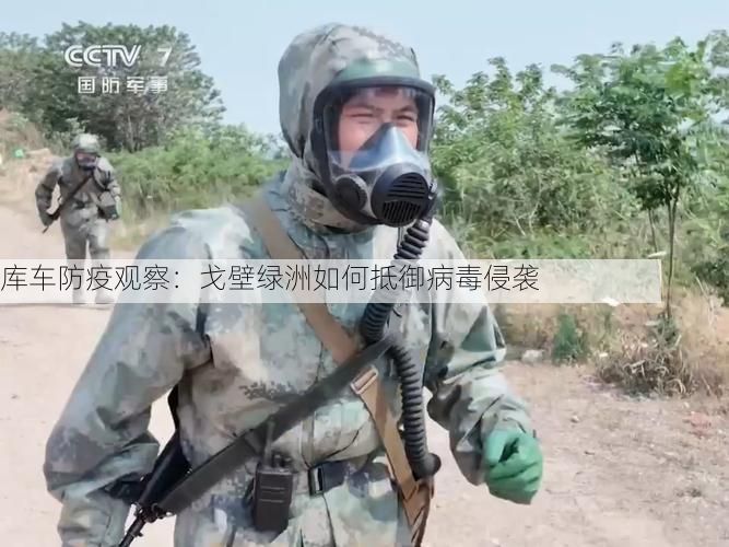 库车防疫观察：戈壁绿洲如何抵御病毒侵袭