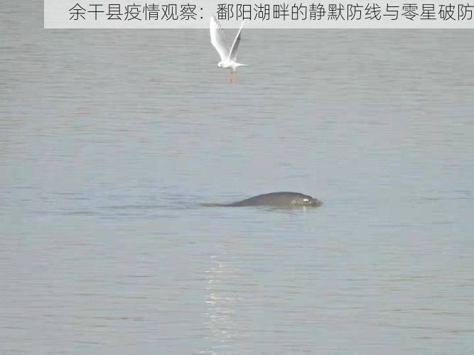 余干县疫情观察：鄱阳湖畔的静默防线与零星破防