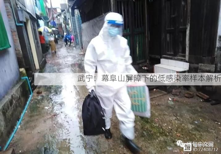 武宁：幕阜山屏障下的低感染率样本解析