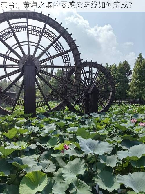 东台：黄海之滨的零感染防线如何筑成？