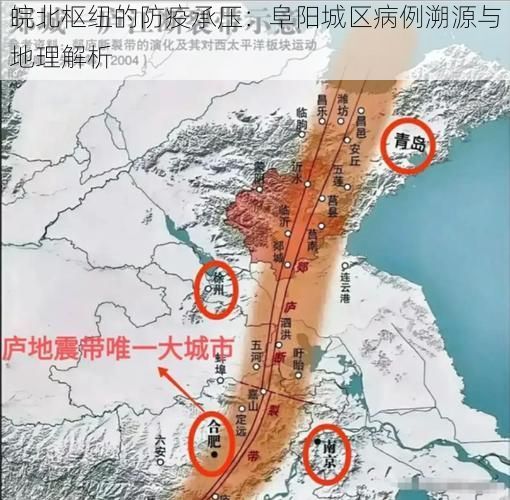 皖北枢纽的防疫承压：阜阳城区病例溯源与地理解析
