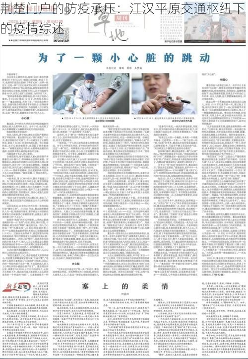 荆楚门户的防疫承压:江汉平原交通枢纽下的疫情综述