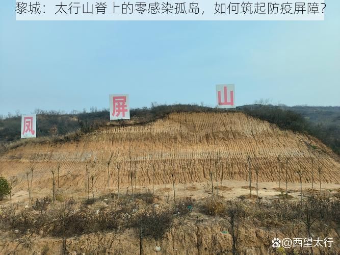黎城：太行山脊上的零感染孤岛，如何筑起防疫屏障？